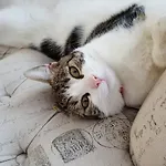 La Porte De Bretagne 4* Péronne